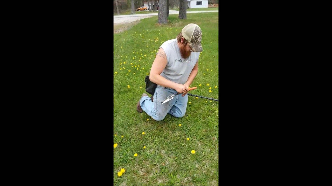 LToutdoors - Asparagus Picking, Metal Detecting, & Morels
