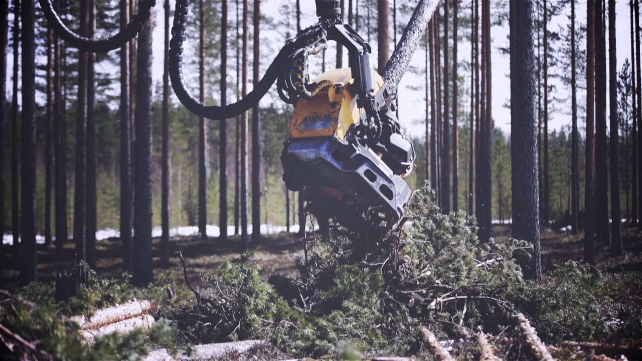 Yksinäiset ammatit - Metsäkoneenkuljettaja