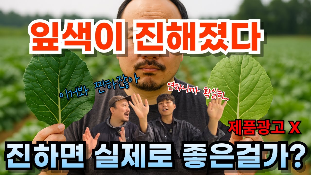 요소비료 주면 잎색 진해져서 좋다고요? 진짜 그럴까요? | 농업 전문가가 알려주는 비료이야기