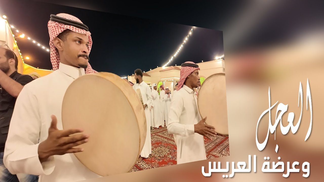 العجل والعرضة | زفاف طلال ناصر الحربي