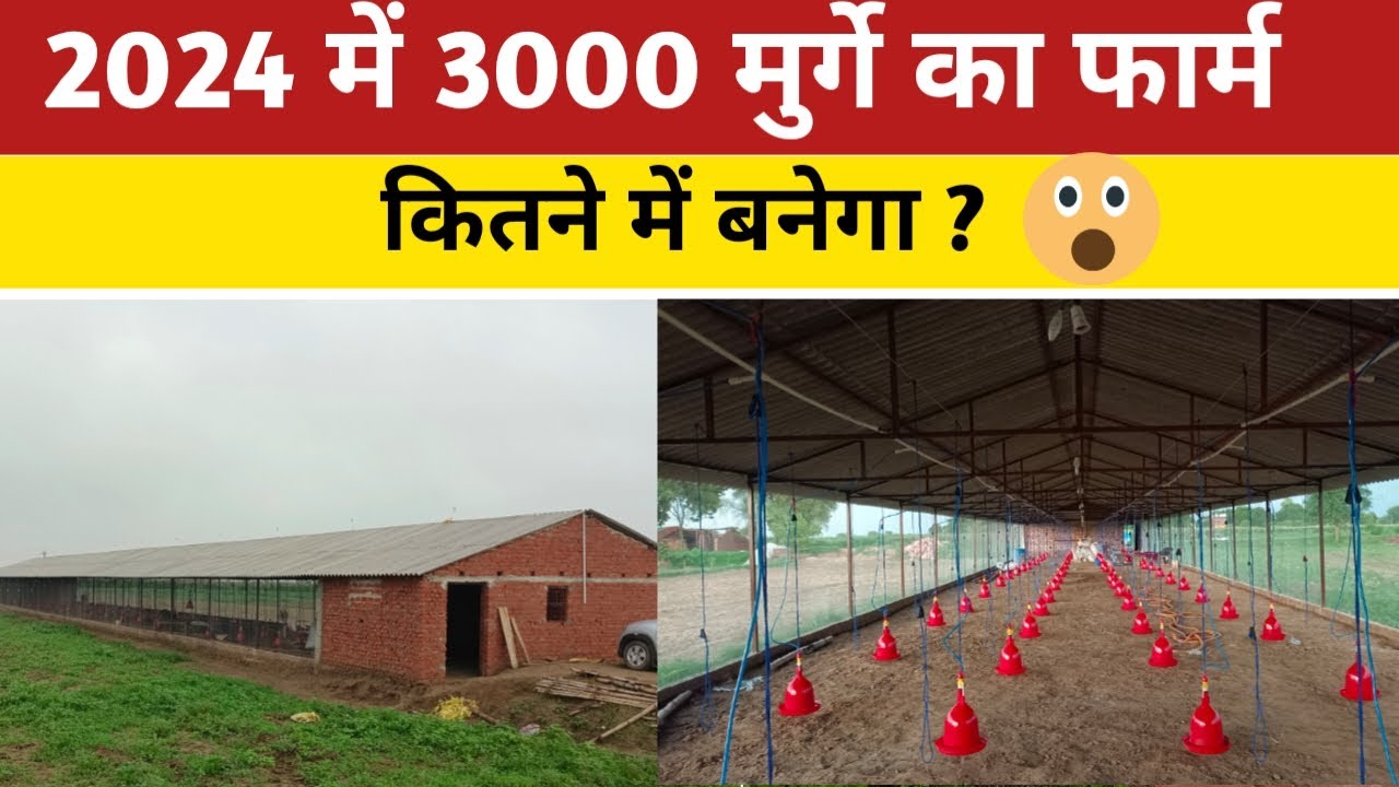172×25 ft का फार्म 2024 में कितनी लागत में बनेगा |3000 Birds Poultry farm||KS Poultry|