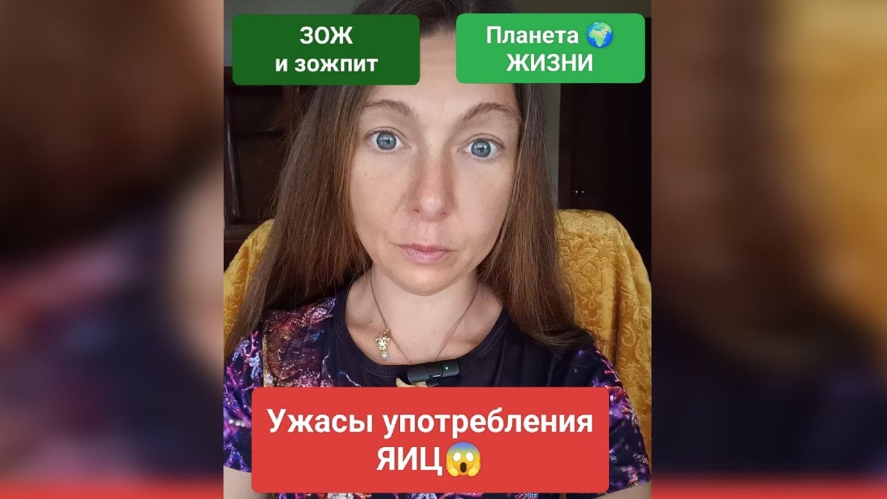 Яйца ЕСТЬ или НЕ ЕСТЬ?.. В чем НЕ вопрос🤪 