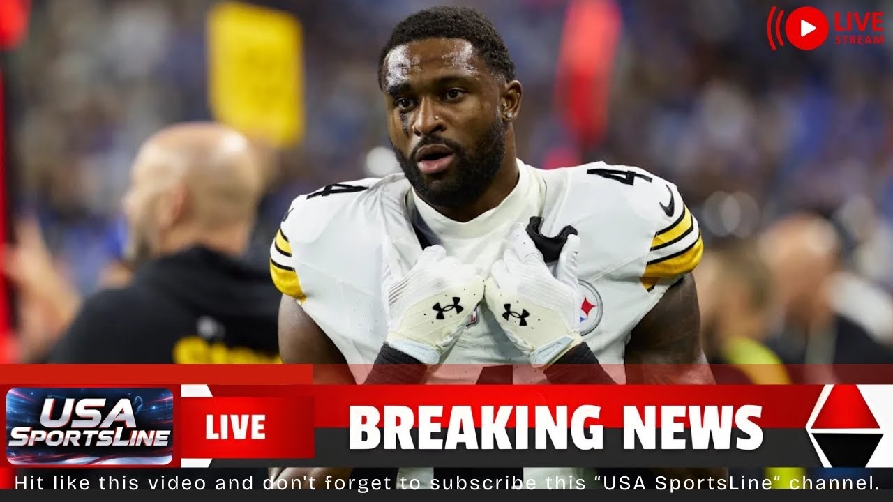 NFL Now Investigating FAN in DK Metcalf Fight! 😳 Racial Slur Allegations Revealed। USA SportsLine