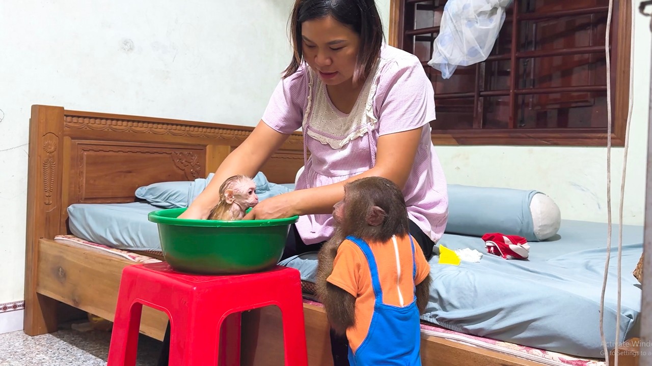 Too Cute! CUTIS Becomes Mom’s Tiny Assistant