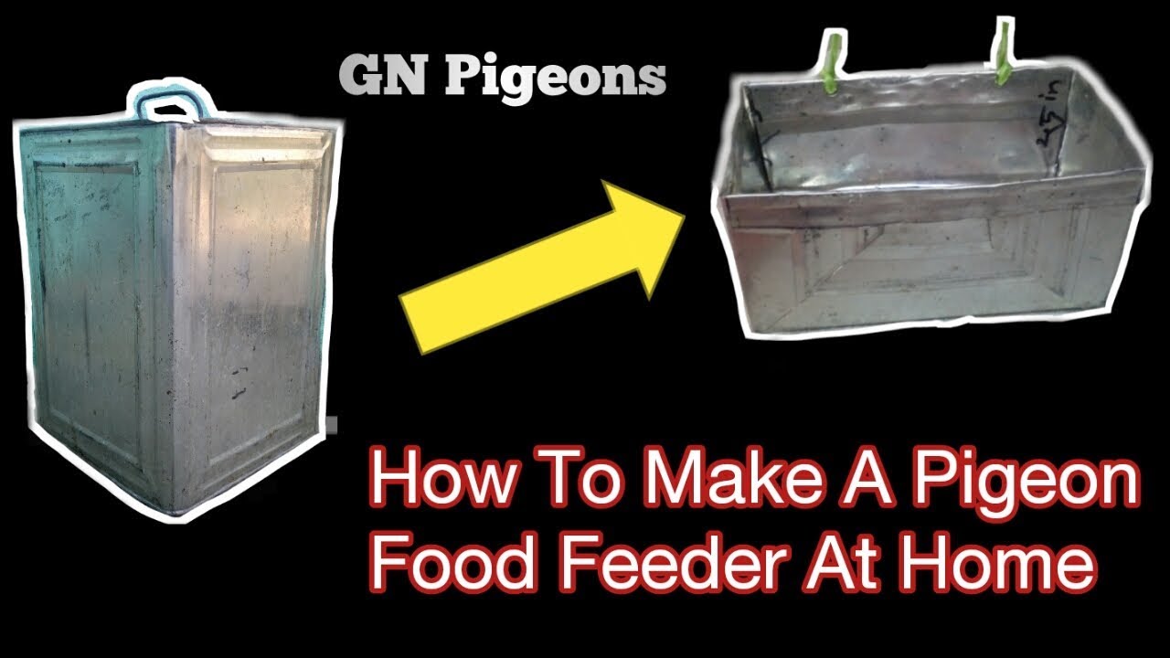 How to make #pigeon #food #feeder at #Home