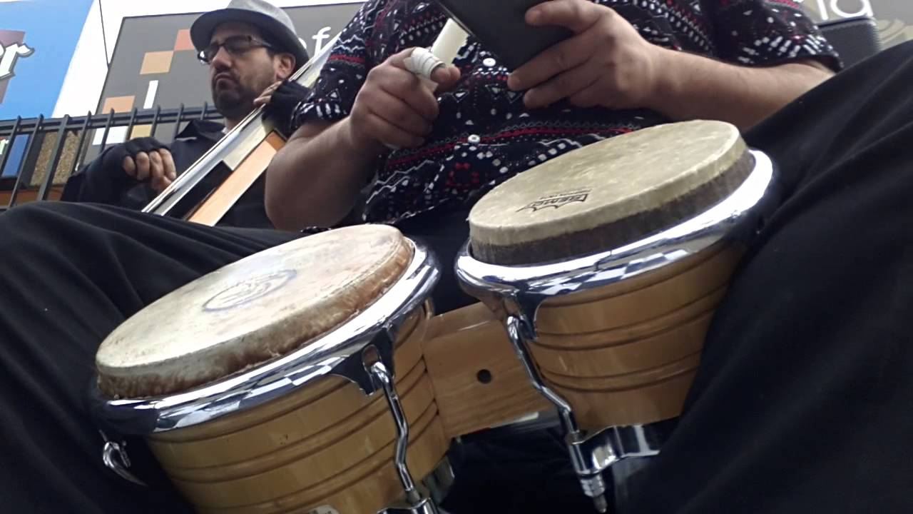 Marchando en el bongo