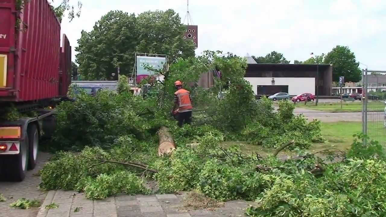 Bomen rooien
