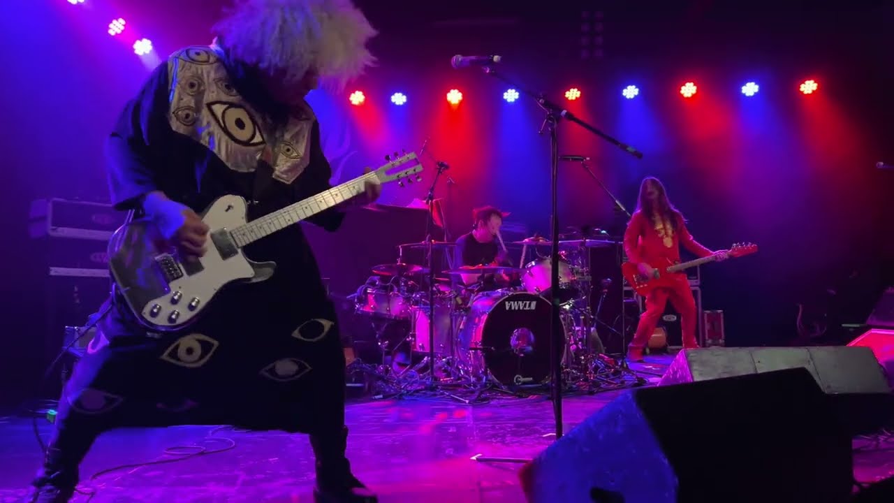 MELVINS 