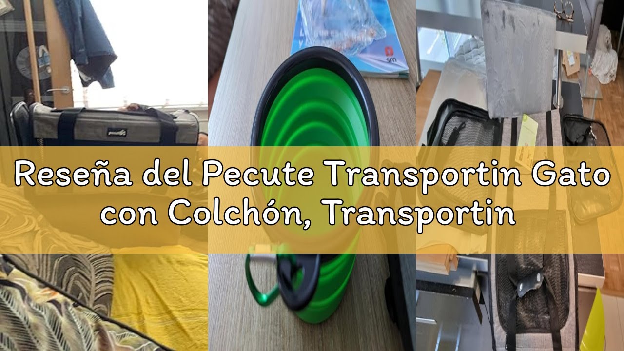 Reseña del Pecute Transportin Gato con Colchón, Transportin Plegable para Perros con Asa, con Cuenco
