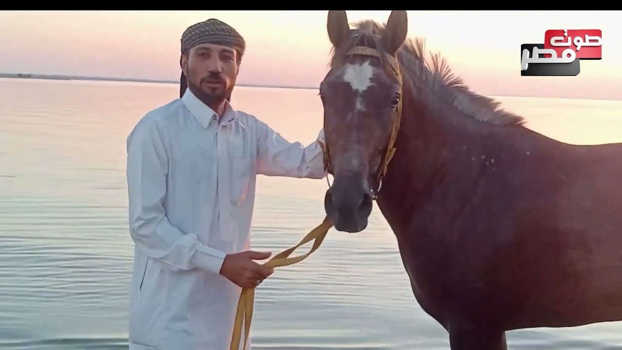قصيده ضاع العمر