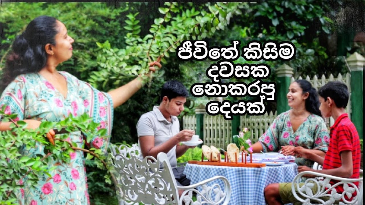 ජීවිතේ කිසිම දවසක නොකරපු දෙයක් | Joyful Out Door Dinner | Harvesting & Cooking Vlog