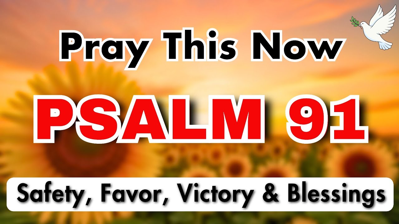 Psalm 91 Powerful Morning Prayer for Protection, Blessings & Favor | Pray This Now
