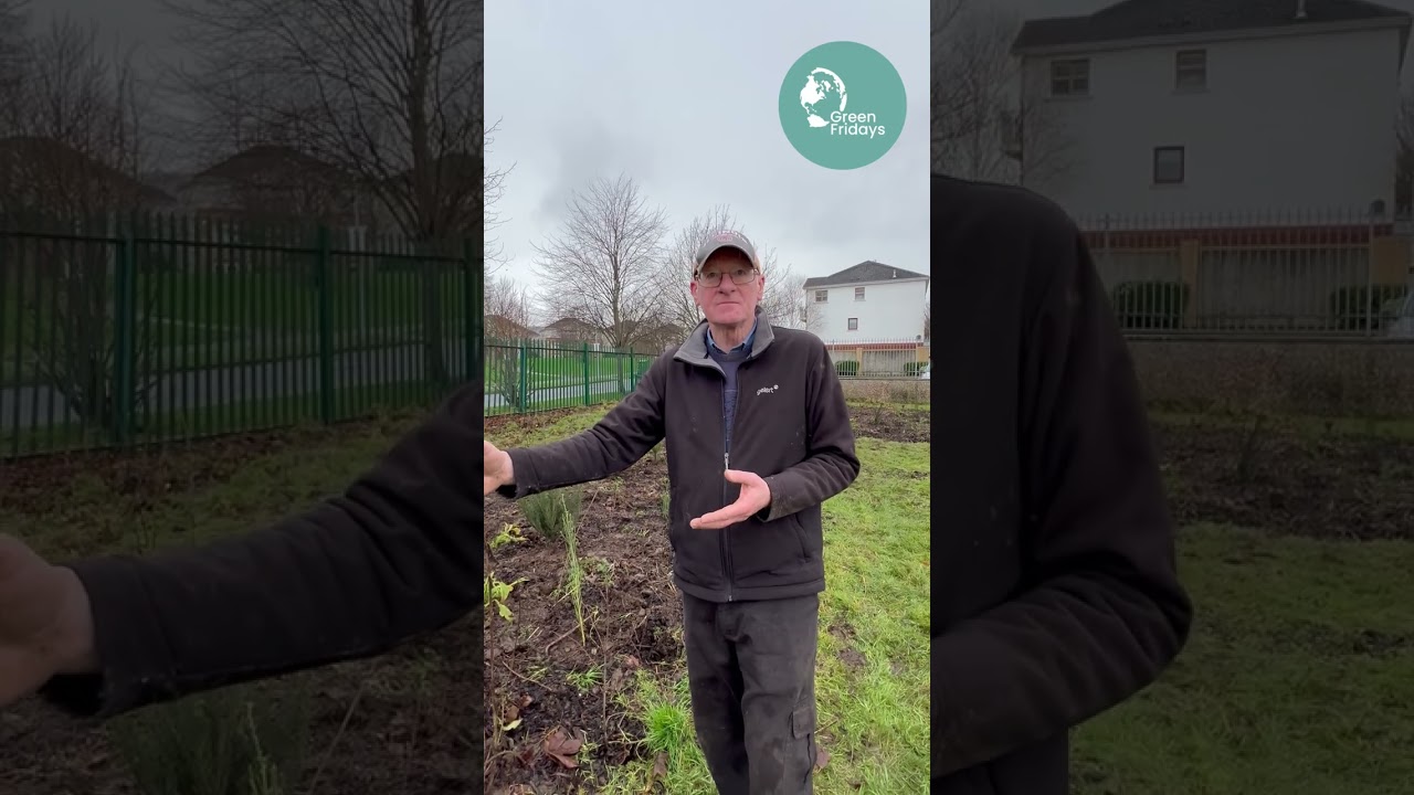Green Fridays interview with John Kiberd - Feb 2026