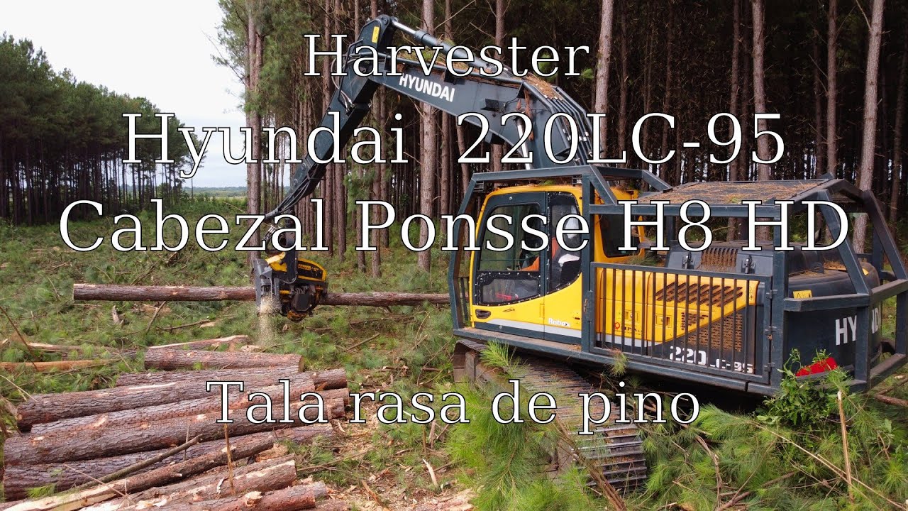 Harvester Hyundai 220 con cabezal Ponsse H8 HD