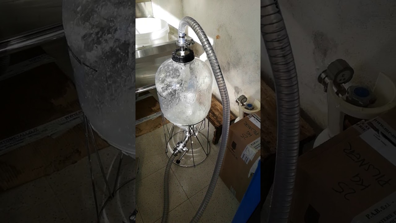 Fermentasaurus CIP system