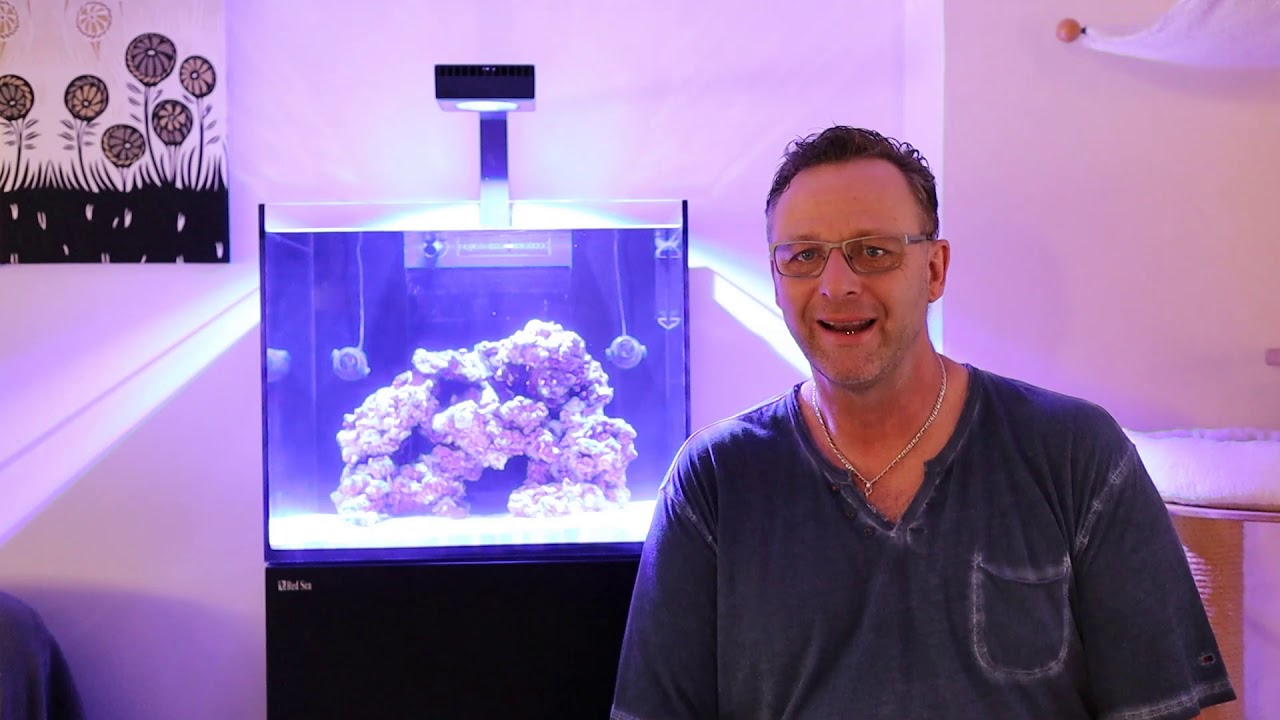 Einrichtung meines Meerwasseraquariums Red Sea 170