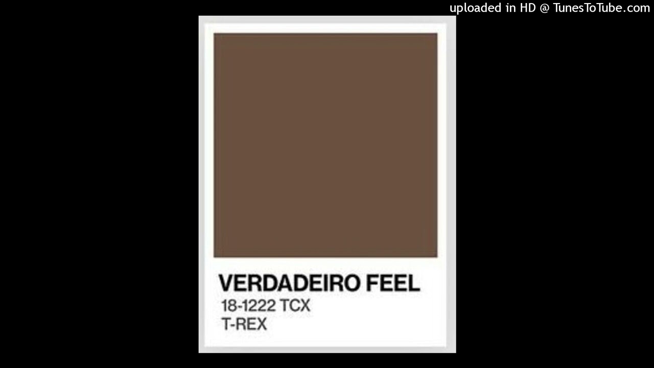 07. Toy Toy T-Rex - Verdadeiro Feel (Rap)