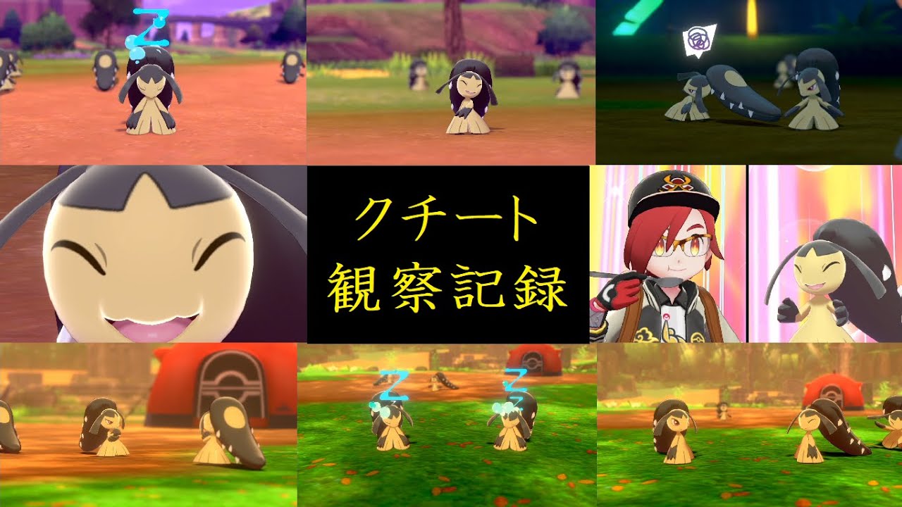 【ポケモン剣盾】ただただ1時間クチートを観察するだけの動画【ポケモン観察記録】