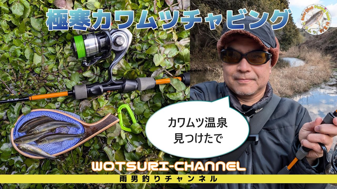 カワムツチャビング☆極寒の中カワムツ温泉見つけました
