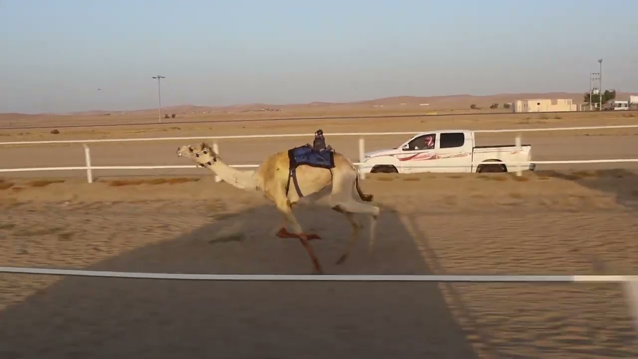 الشوط الاول قعدان حقايق3كلم الحصيني/ سلمان عبدالكريم الجهني