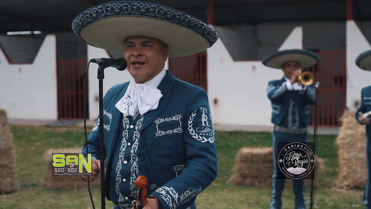 Mariachi Tierra Regia El color de tus ojos (en vivo)