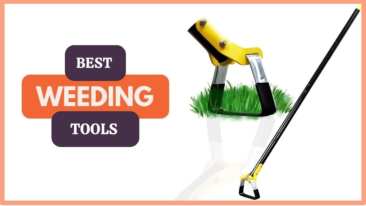 5 Best Weeding Tools of 2025, Tested and Reviewed