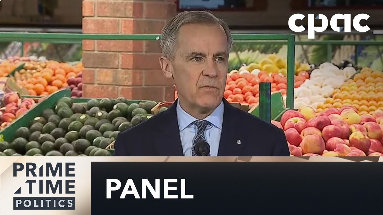 Does Affordability Need to be the Focus of the Government? Strategists Panel