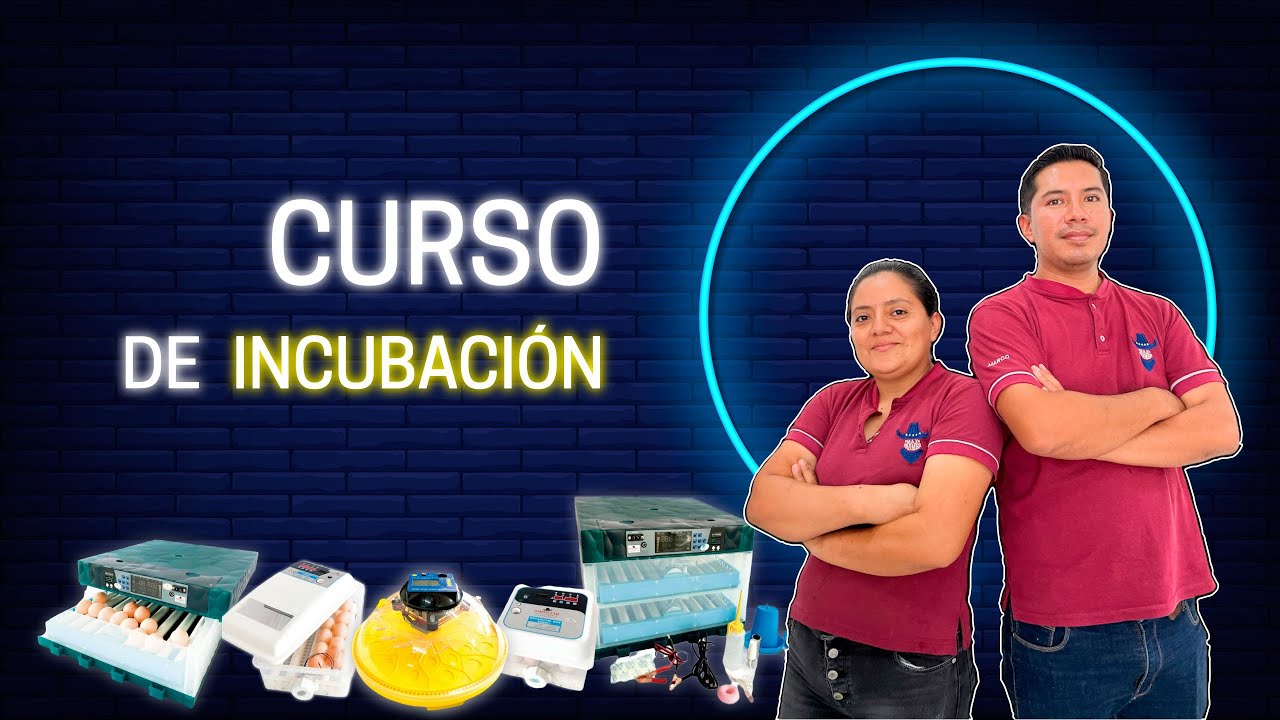Curso gratuito de incubadoras automáticas