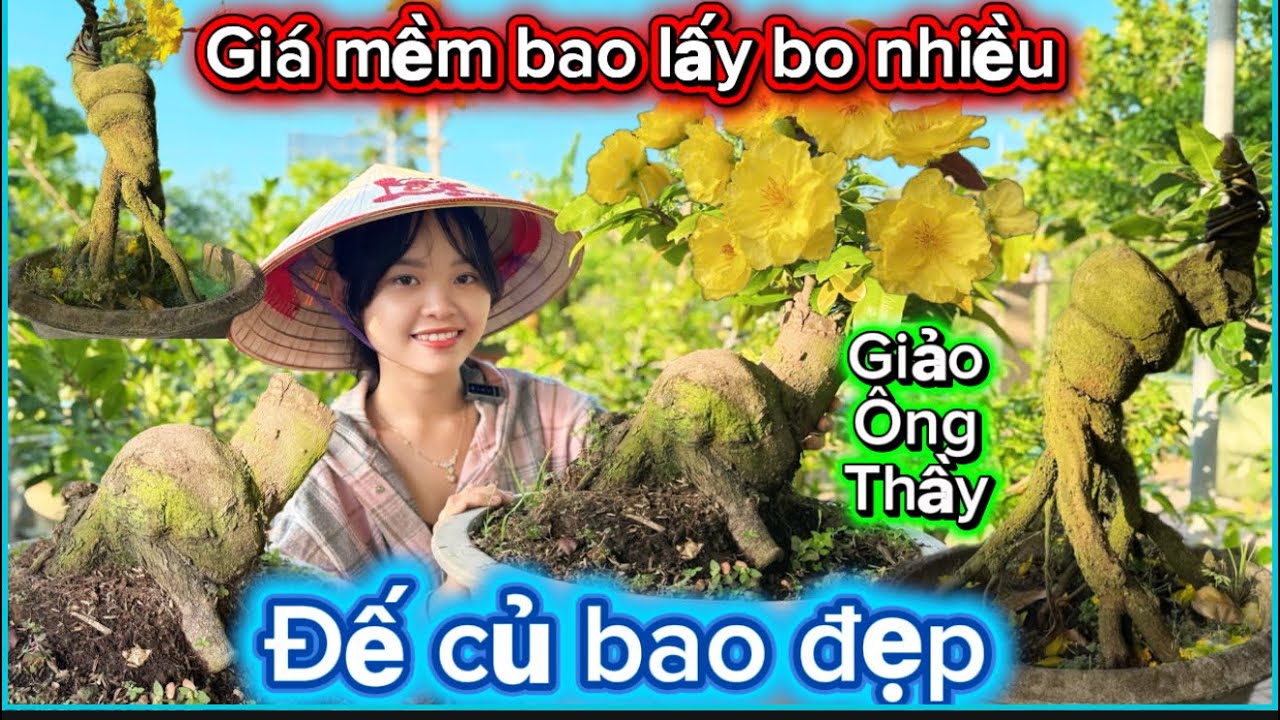16-3-2026☎️0373919774📲mai đế củ giá mềm giảo ông thầy-bình lợi-như ý báo mã số 