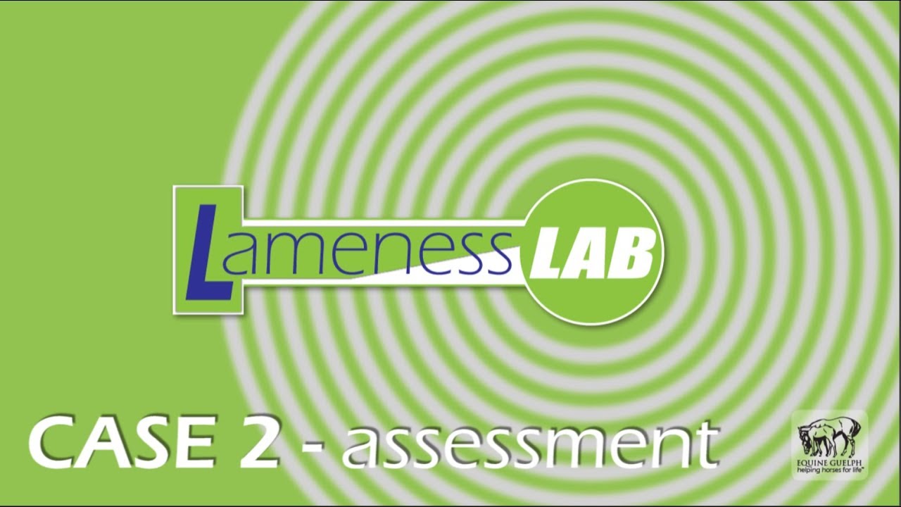 VIDEO CHALLENGE Case 2  Assessment