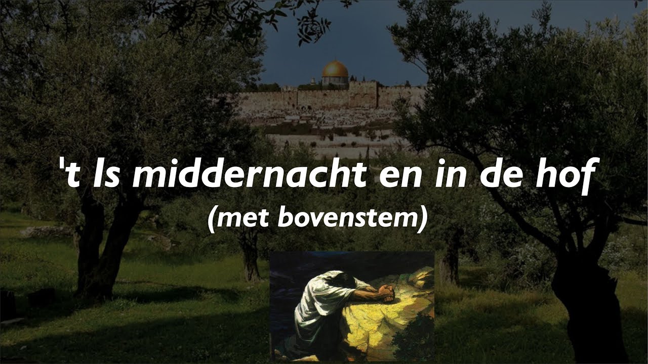 't Is middernacht en in de hof vers 1, 2, 3 en 4 (samenzang met bovenstem) | Orgel: Harm Woltjer