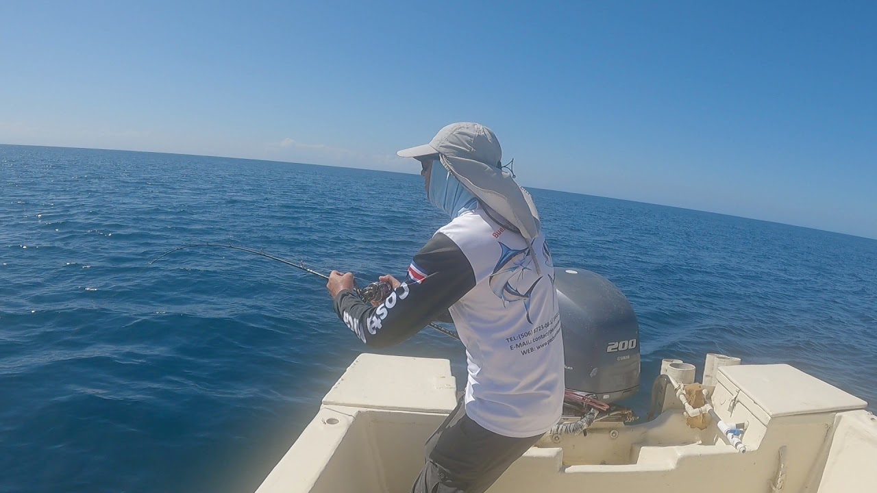Jigging Costa Rica - Broomtail grouper