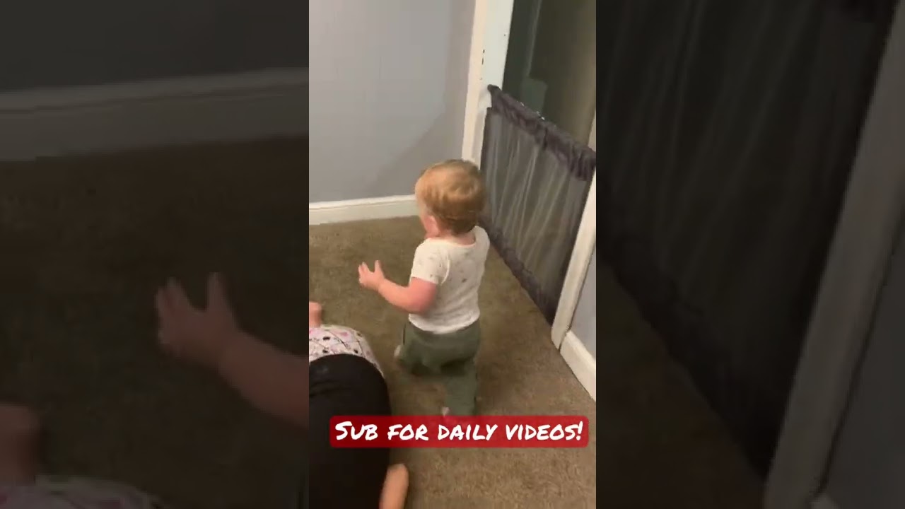 Jax trying to get sissy's feet , so funy what he does at the end !