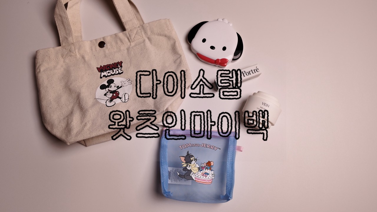 다이소템으로 하는 what's in my bag