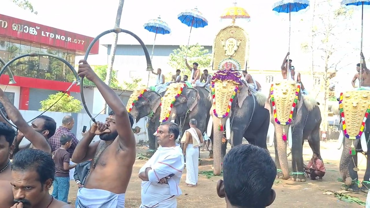 Pandi melam by painkulam padnanabhan nair at mulloorkara thiruvani kavu