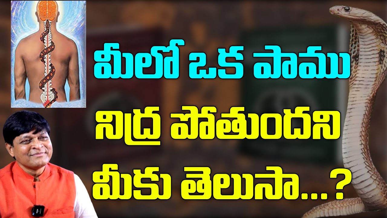 మీలో ఒక పాము నిద్ర పోతుందని మీకు తెలుసా ...? |Bramha Gnana Petam E4| Dr.Newton | Dr. Shruthi