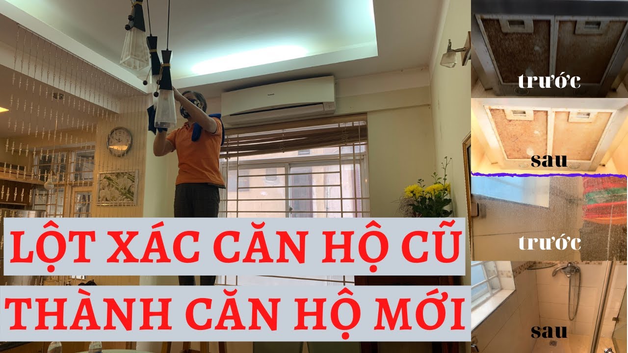 DỌN CHUNG CƯ ĐANG Ở ||| Vệ sinh Alin