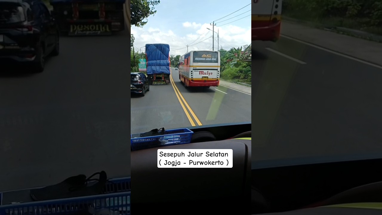 Bus Mulyo #busekonomi #busmulyo #jalurselatan #purwokertoviral #busekonomimulyo