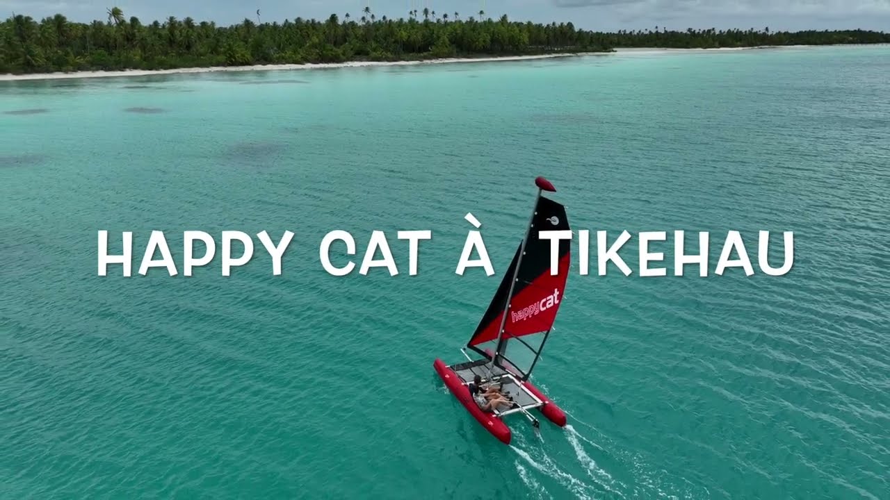 Happy Cat à Tikehau