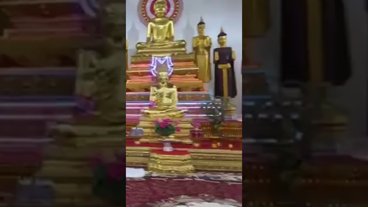 seyuxfvvvcfx #music #goodvibes #pagode