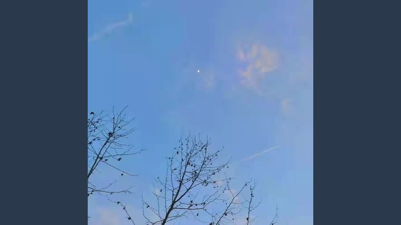 这一生关于你的风景