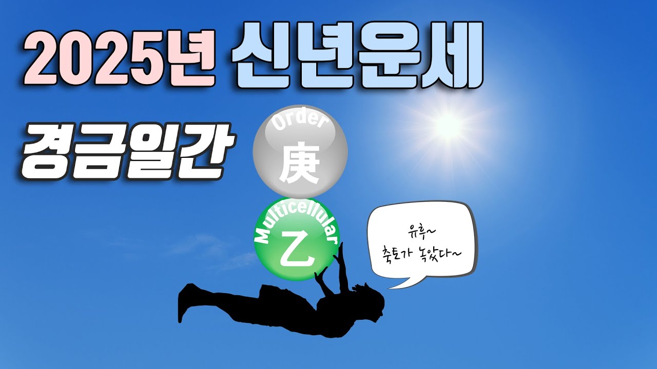 2025년 신년운세 을사년 새해 경금일간