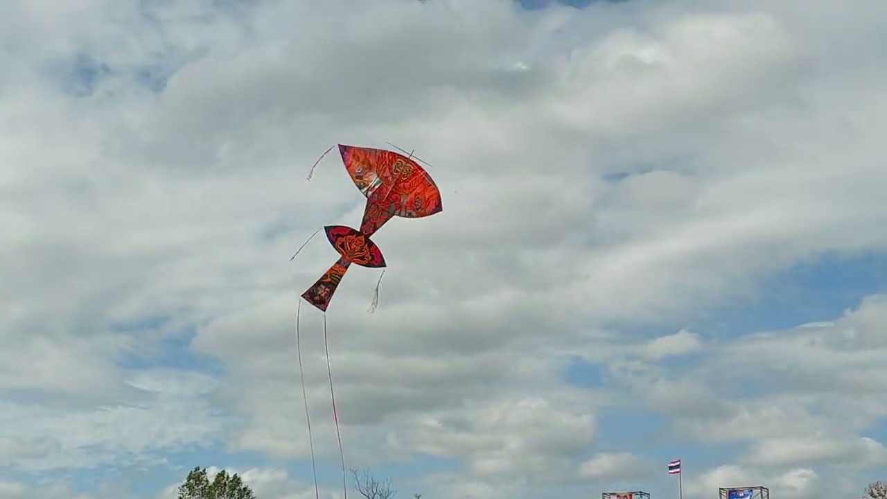 แข่งว่าวแอกยักษ์รอบชิงฯ-4 #มหกรรมว่าวอีสานบุรีรัมย์ #kitefestival2025#แข่งว่าวบุรีรัมย์#ว่าวแอกยักษ์