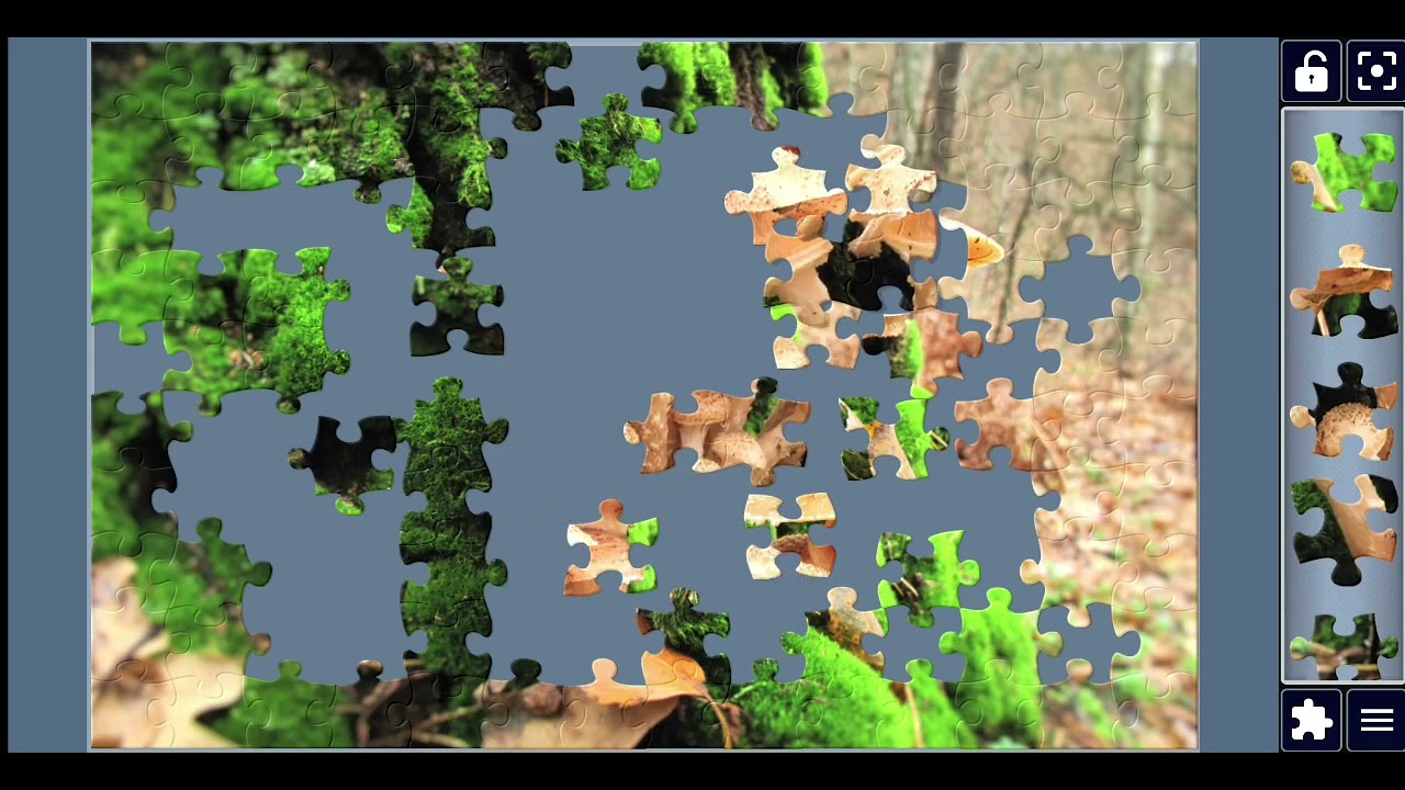 Mushrooms in a Forest | Relaxing Jigsaw Puzzle with Satisfying Matching Sound