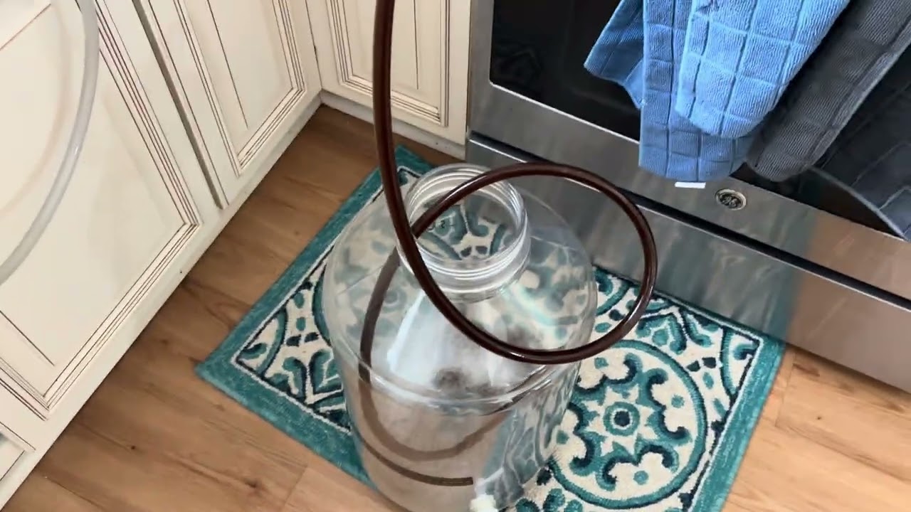 QUEEN ANN’S REVENGE 2026! #homebrewing #beerbrewing 