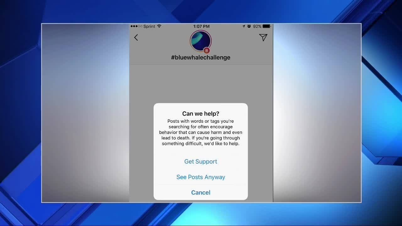13 Reason Why, Blue Whale Challenge causing concerns for educators, parents
