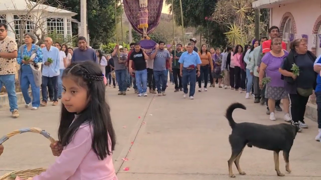 COYOTE SOLITARIO FAM. MARTÍNEZ MARTÍNEZ Y CIA.PROSECION Sr. DE LA EXPIRACION ASUNCIÓN CUYOTEPEJI 26