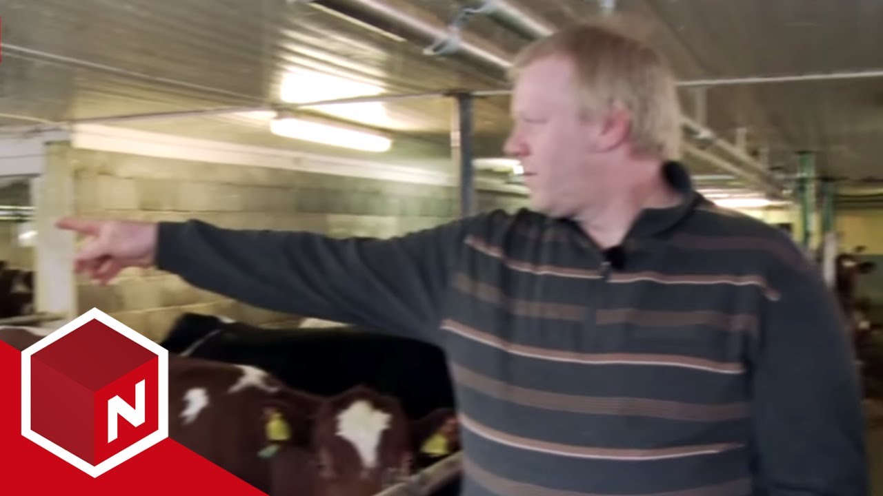 Åndenes makt | Redskaper flyr gjennom fjøset | discovery+ Norge