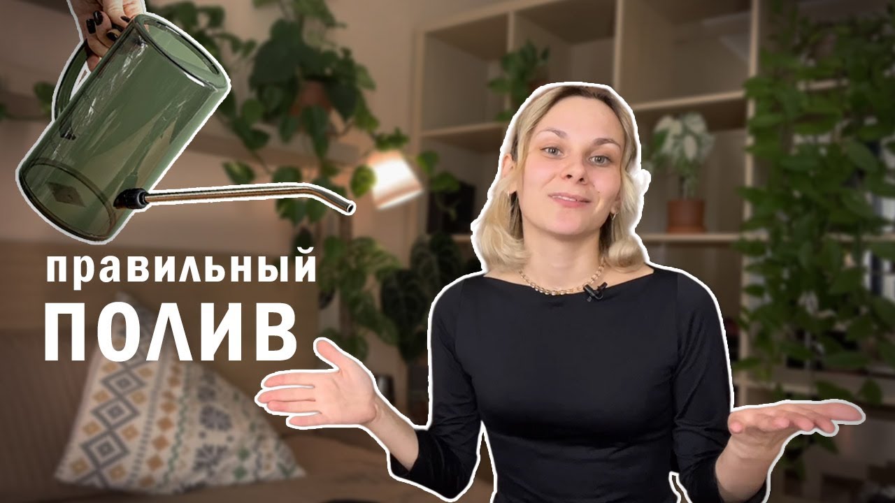 Как поливать растения ПРАВИЛЬНО? Как понять, что цветок пора полить? Рассказываю все о поливе