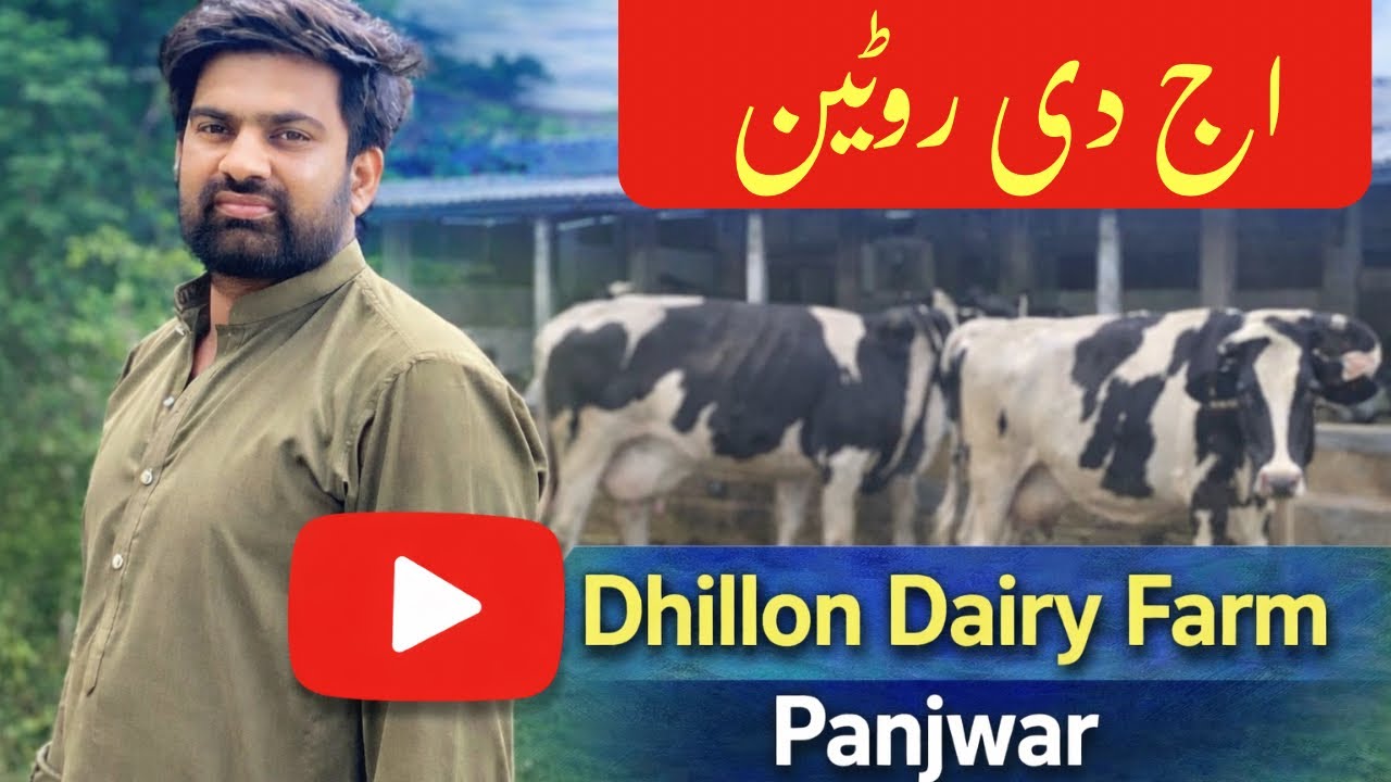Dhillon Dariy farm py/ nasir dhillon te Sikandar / Faisal jutt ￼